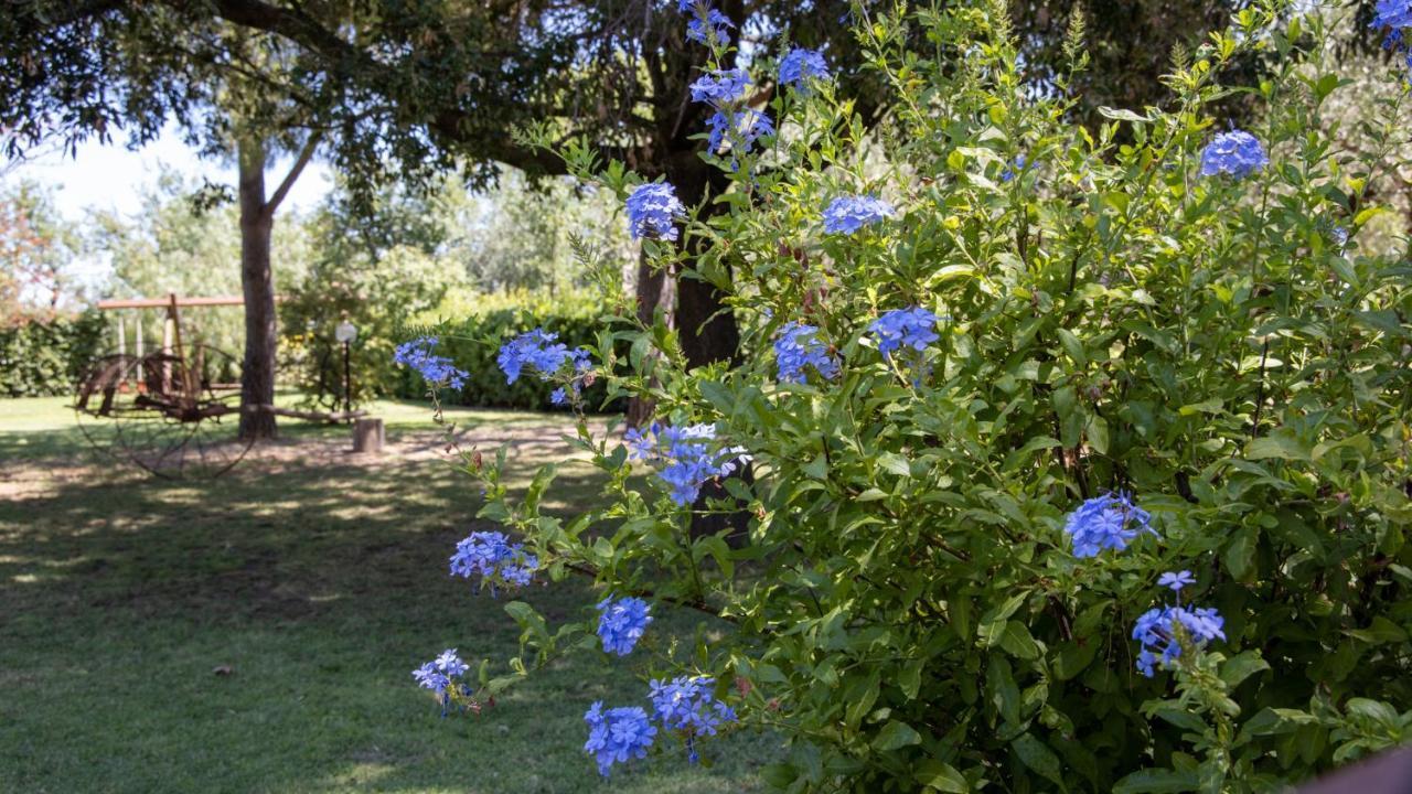 Agriturismo Salcino Гроссето Экстерьер фото