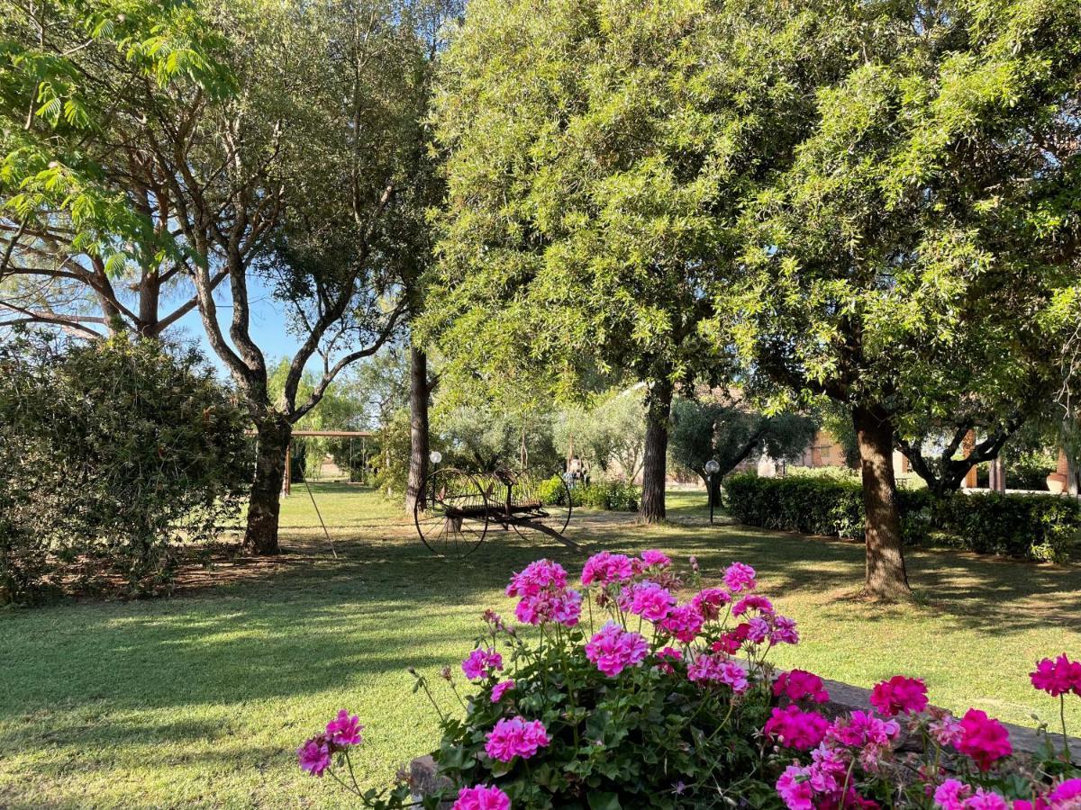 Agriturismo Salcino Гроссето Экстерьер фото