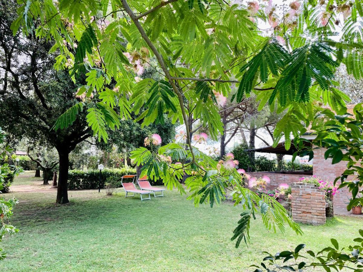 Agriturismo Salcino Гроссето Экстерьер фото