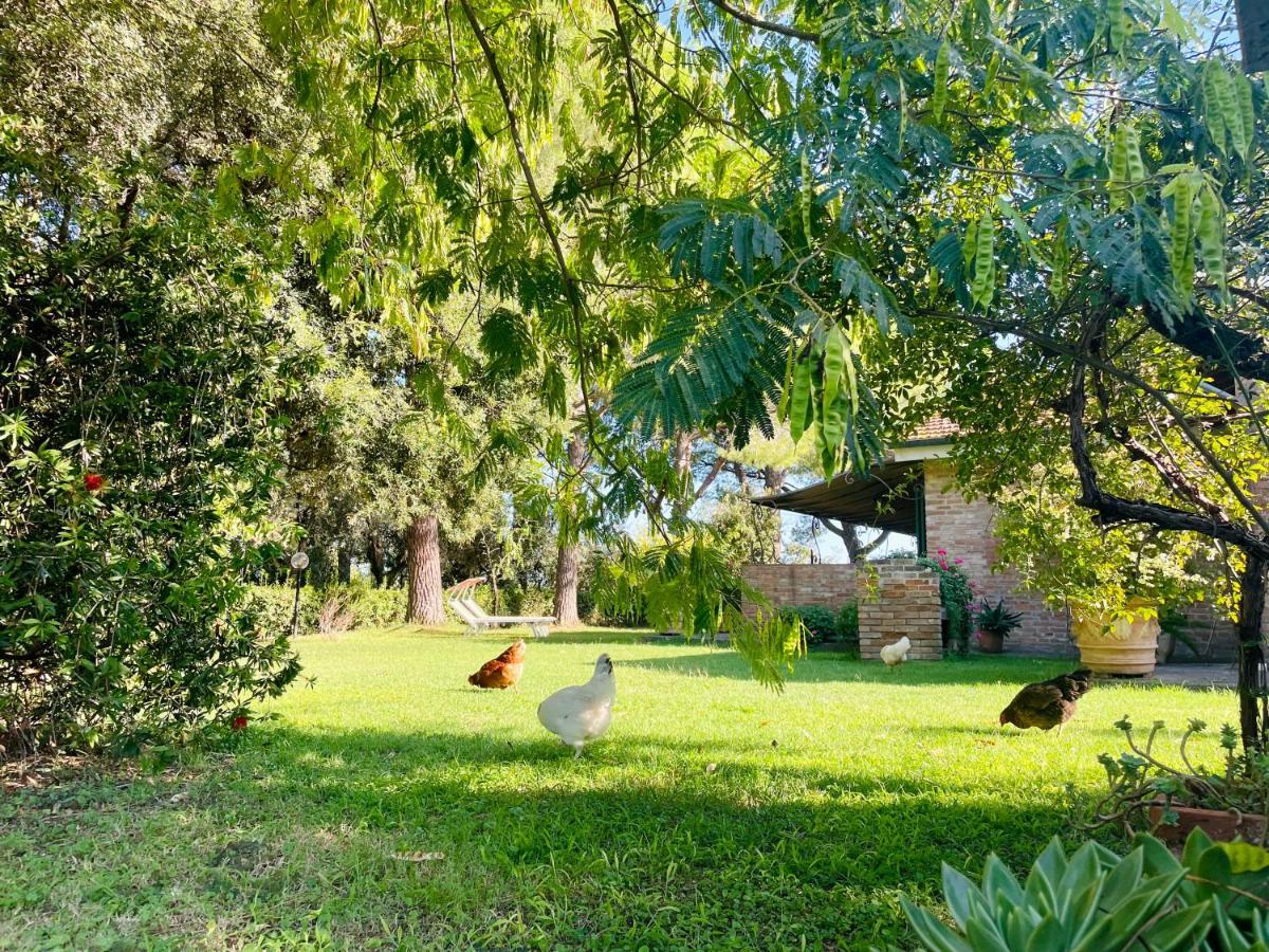 Agriturismo Salcino Гроссето Экстерьер фото