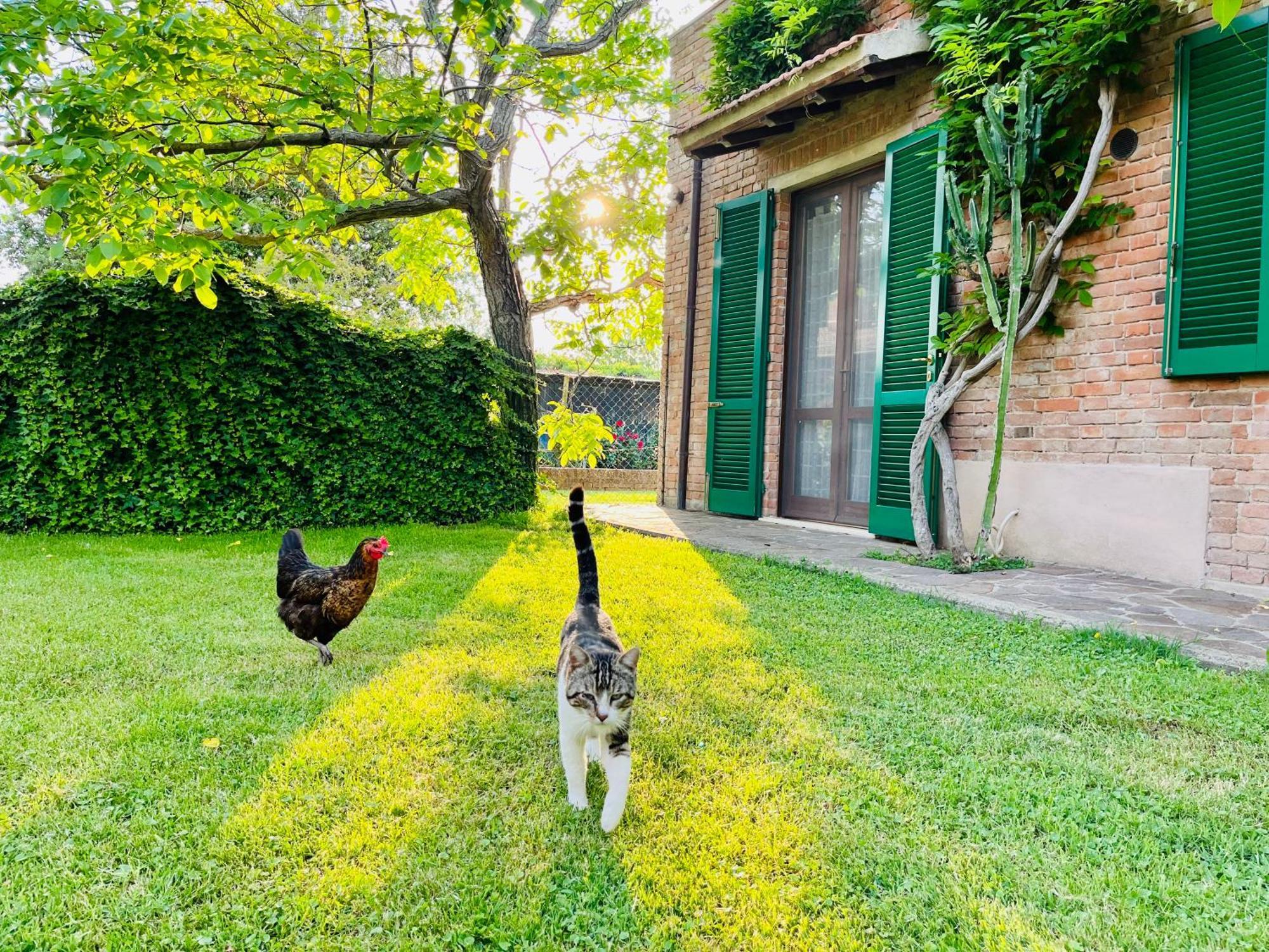 Agriturismo Salcino Гроссето Экстерьер фото