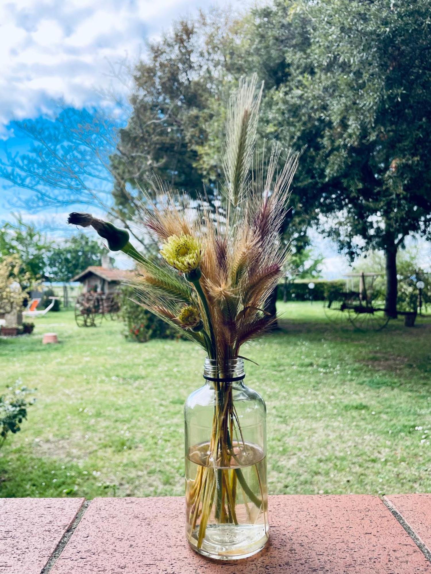 Agriturismo Salcino Гроссето Экстерьер фото