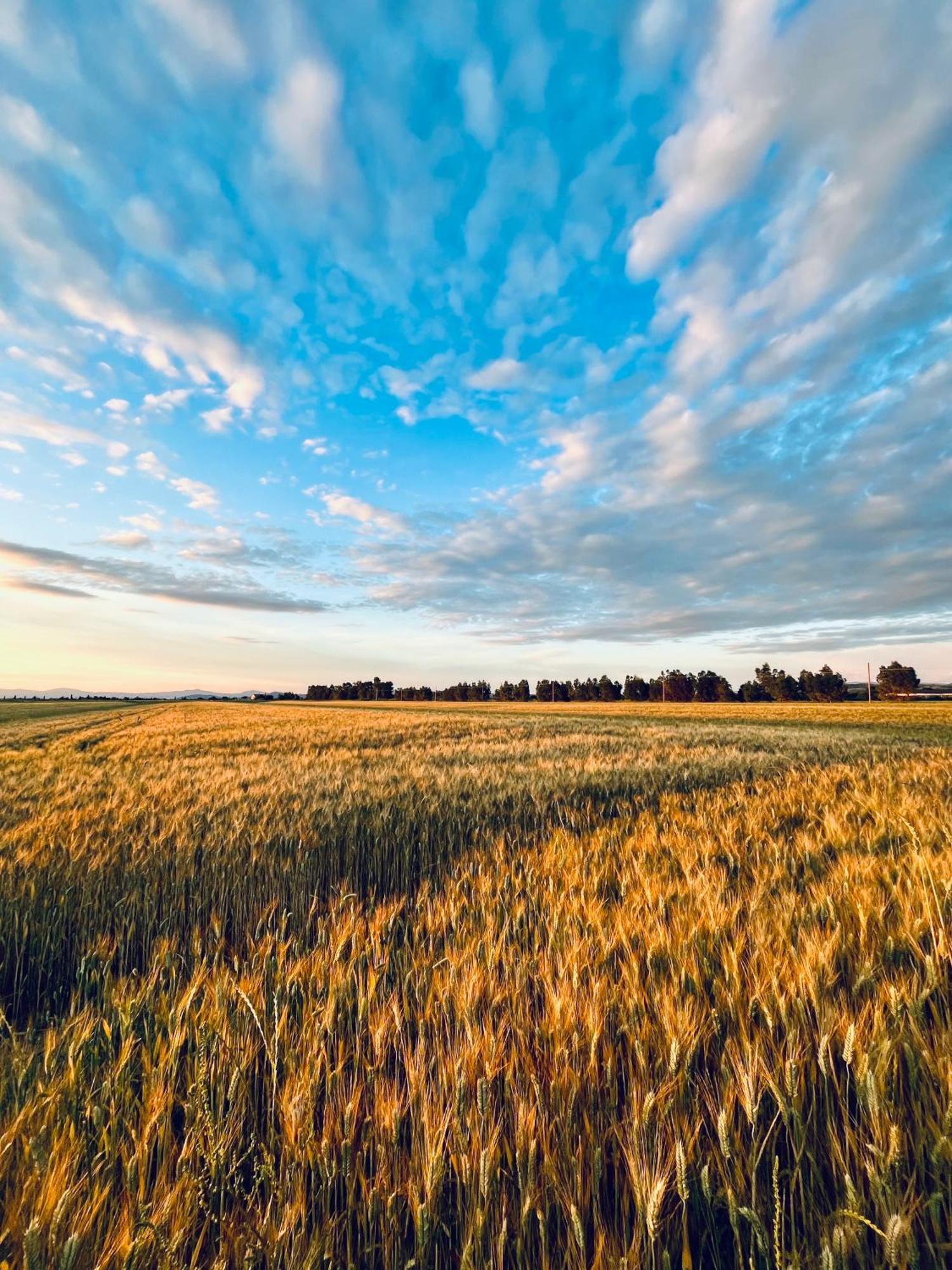 Agriturismo Salcino Гроссето Экстерьер фото